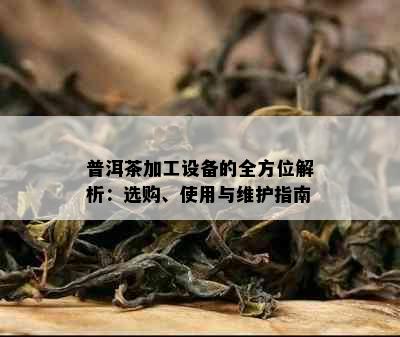 普洱茶加工设备的全方位解析：选购、使用与维护指南