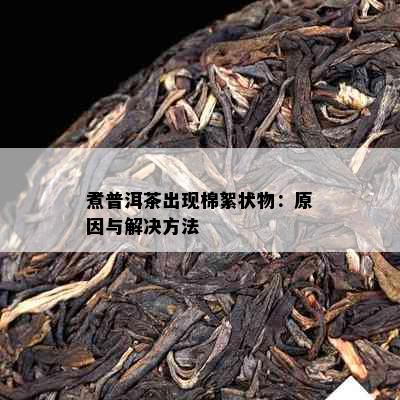 煮普洱茶出现棉絮状物：原因与解决方法