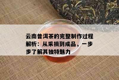 云南普洱茶的完整制作过程解析：从采摘到成品，一步步了解其独特魅力