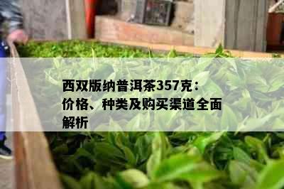 西双版纳普洱茶357克：价格、种类及购买渠道全面解析