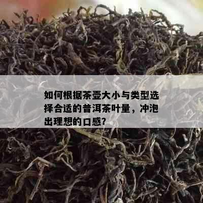 如何根据茶壶大小与类型选择合适的普洱茶叶量，冲泡出理想的口感？