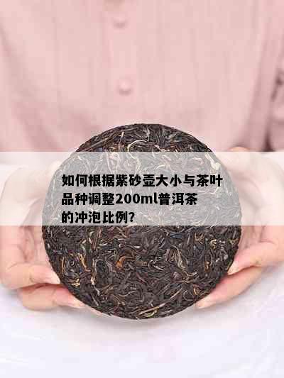 如何根据紫砂壶大小与茶叶品种调整200ml普洱茶的冲泡比例？