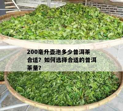 200毫升壶泡多少普洱茶合适？如何选择合适的普洱茶量？