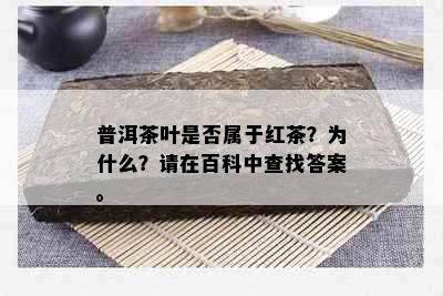 普洱茶叶是否属于红茶？为什么？请在百科中查找答案。