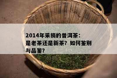 2014年采摘的普洱茶：是老茶还是新茶？如何鉴别与品鉴？