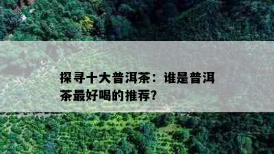 探寻十大普洱茶：谁是普洱茶更好喝的推荐？