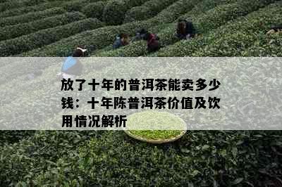 放了十年的普洱茶能卖多少钱：十年陈普洱茶价值及饮用情况解析