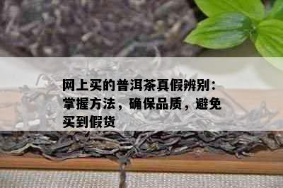 网上买的普洱茶真假辨别：掌握方法，确保品质，避免买到假货