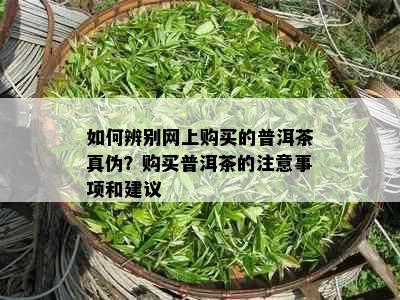 如何辨别网上购买的普洱茶真伪？购买普洱茶的注意事项和建议