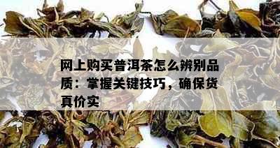 网上购买普洱茶怎么辨别品质：掌握关键技巧，确保货真价实