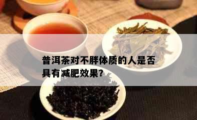 普洱茶对不胖体质的人是否具有减肥效果？