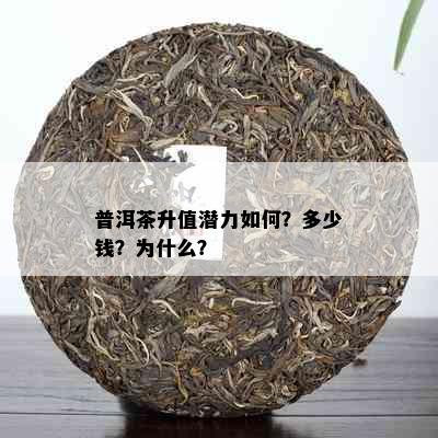 普洱茶升值潜力如何？多少钱？为什么？