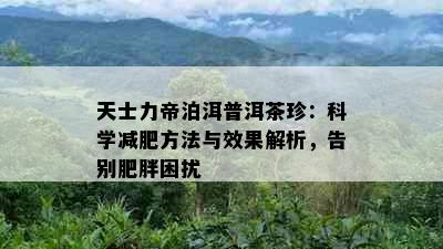 天士力帝泊洱普洱茶珍：科学减肥方法与效果解析，告别肥胖困扰