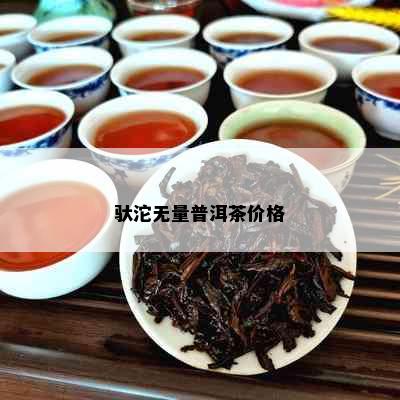 驮沱无量普洱茶价格