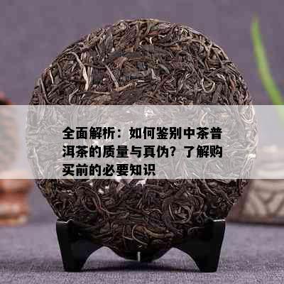 全面解析：如何鉴别中茶普洱茶的质量与真伪？了解购买前的必要知识