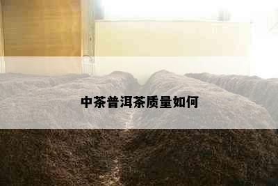 中茶普洱茶质量如何