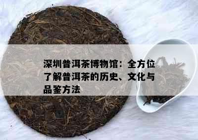 深圳普洱茶博物馆：全方位了解普洱茶的历史、文化与品鉴方法