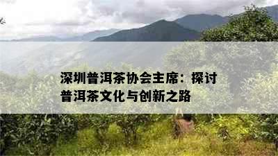 深圳普洱茶协会主席：探讨普洱茶文化与创新之路