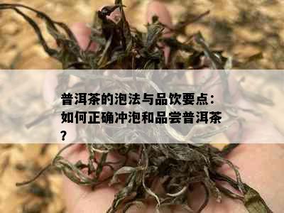 普洱茶的泡法与品饮要点：如何正确冲泡和品尝普洱茶？