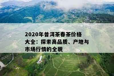 2020年普洱茶春茶价格大全：探索高品质、产地与市场行情的全貌