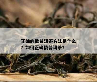 正确的撬普洱茶方法是什么？如何正确撬普洱茶？