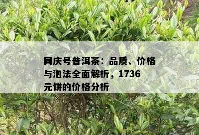 同庆号普洱茶：品质、价格与泡法全面解析，1736元饼的价格分析