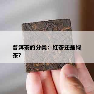 普洱茶的分类：红茶还是绿茶？