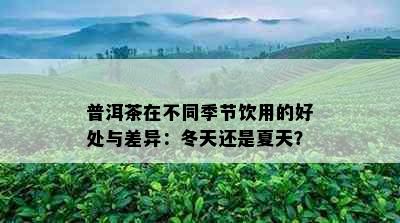 普洱茶在不同季节饮用的好处与差异：冬天还是夏天？