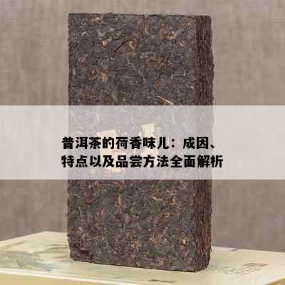 普洱茶的荷香味儿：成因、特点以及品尝方法全面解析