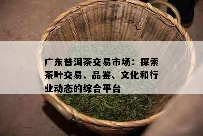 广东普洱茶交易市场：探索茶叶交易、品鉴、文化和行业动态的综合平台