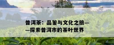 普洱茶：品鉴与文化之旅——探索普洱市的茶叶世界