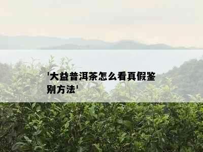 '大益普洱茶怎么看真假鉴别方法'