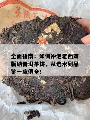 全面指南：如何冲泡老西双版纳普洱茶饼，从选水到品鉴一应俱全！