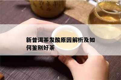 新普洱茶发酸原因解析及如何鉴别好茶