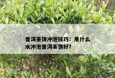 普洱茶饼冲泡技巧：用什么水冲泡普洱茶饼好？