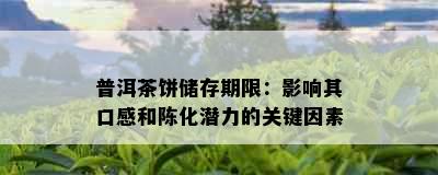 普洱茶饼储存期限：影响其口感和陈化潜力的关键因素