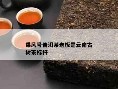 乘风号普洱茶老板是云南古树茶标杆