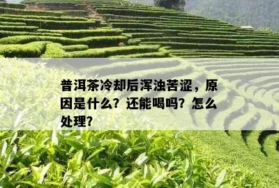 普洱茶冷却后浑浊苦涩，原因是什么？还能喝吗？怎么处理？