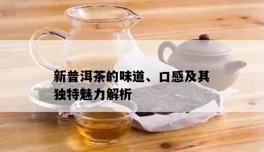 新普洱茶的味道、口感及其独特魅力解析