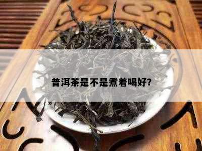 普洱茶是不是煮着喝好？