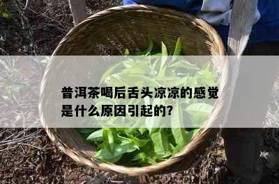 普洱茶喝后舌头凉凉的感觉是什么原因引起的？