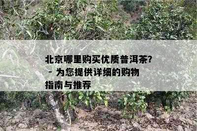 北京哪里购买优质普洱茶？ - 为您提供详细的购物指南与推荐