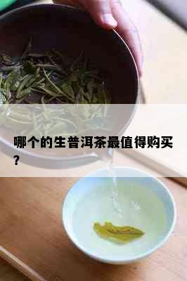 哪个的生普洱茶最值得购买？