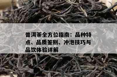 普洱茶全方位指南：品种特点、品质鉴别、冲泡技巧与品饮体验详解