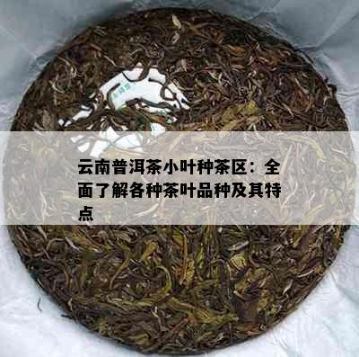 云南普洱茶小叶种茶区：全面了解各种茶叶品种及其特点