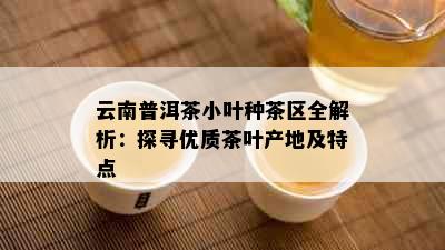 云南普洱茶小叶种茶区全解析：探寻优质茶叶产地及特点