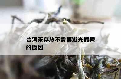 普洱茶存放不需要避光储藏的原因