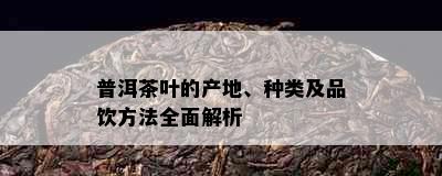 普洱茶叶的产地、种类及品饮方法全面解析