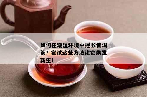 如何在潮湿环境中拯救普洱茶？尝试这些方法让它焕发新生！