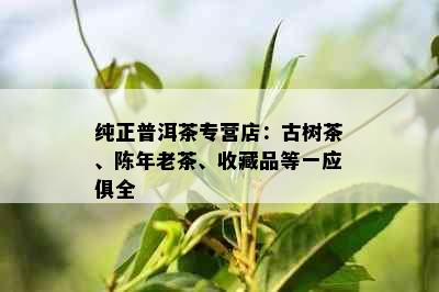 纯正普洱茶专营店：古树茶、陈年老茶、收藏品等一应俱全